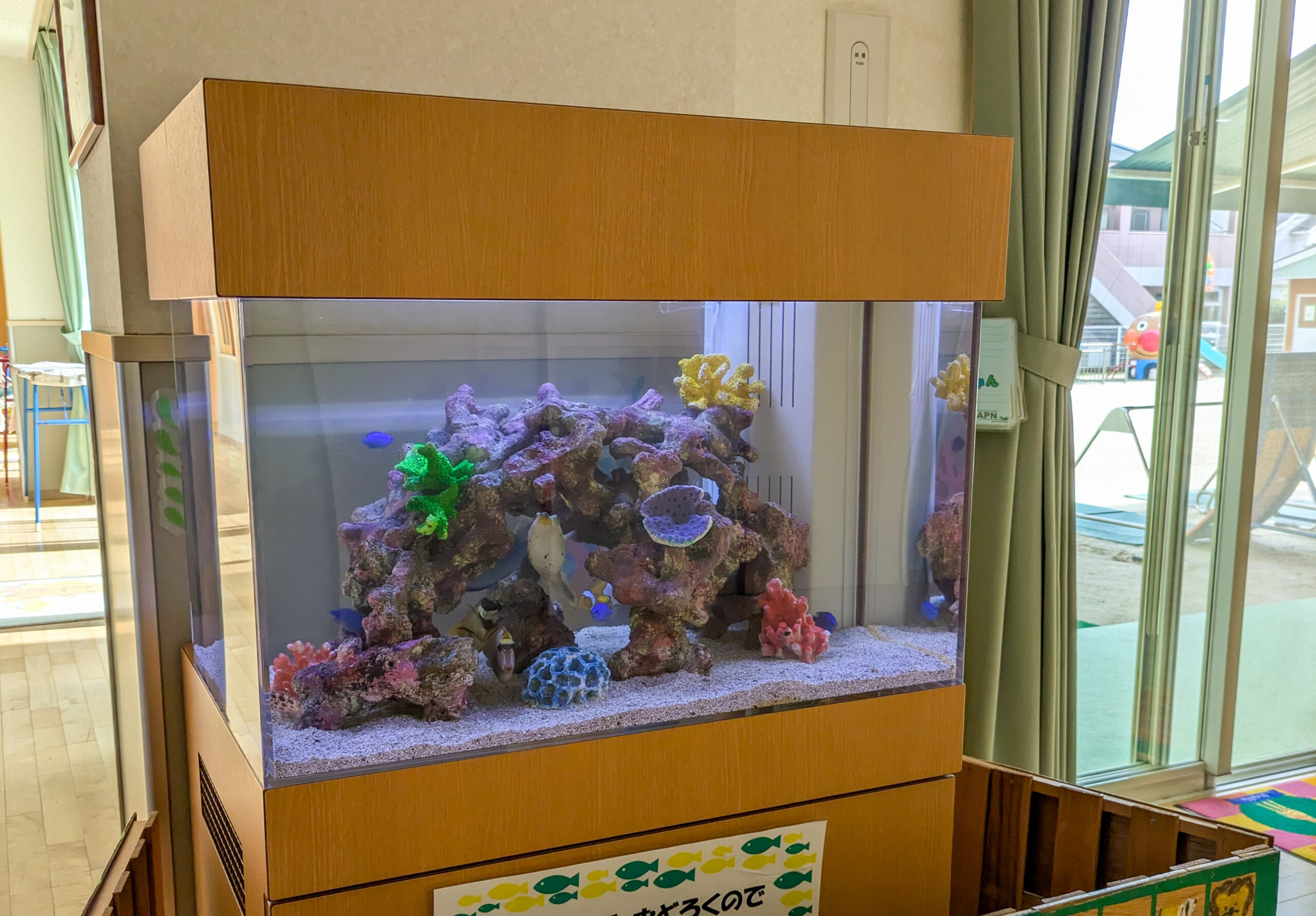 愛知県岡崎市の保育園に設置した75cm海水魚水槽。色鮮やかな海水魚とサンゴが泳ぐ、子どもたちに人気の癒しのアクアリウムです。
